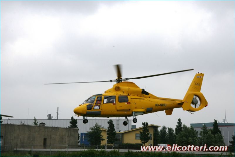 elifoto (140)